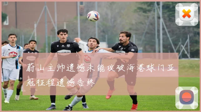蔚山主帅遗憾未能攻破海港球门亚冠征程遗憾告终