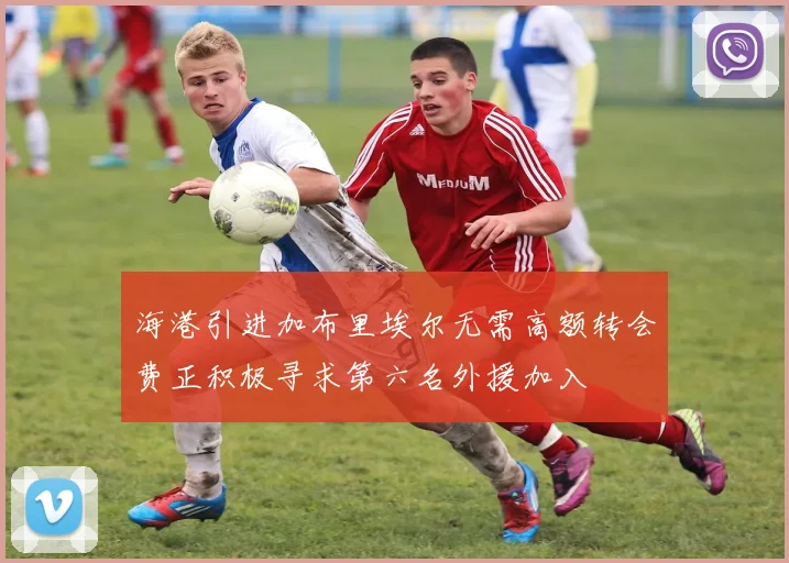 海港引进加布里埃尔无需高额转会费正积极寻求第六名外援加入