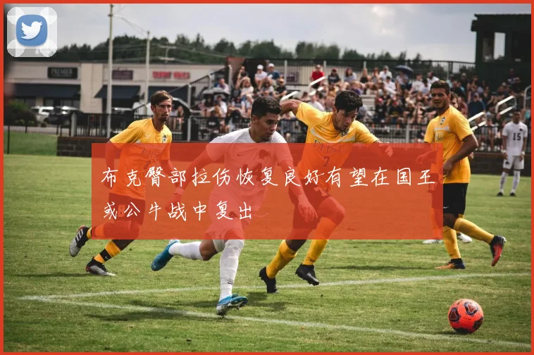 布克臀部拉伤恢复良好有望在国王或公牛战中复出
