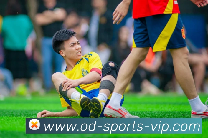 多媒体互动体验