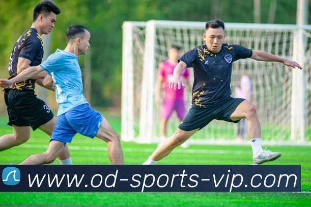 OD体育APP 体育赛事宣传图